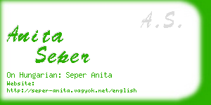 anita seper business card